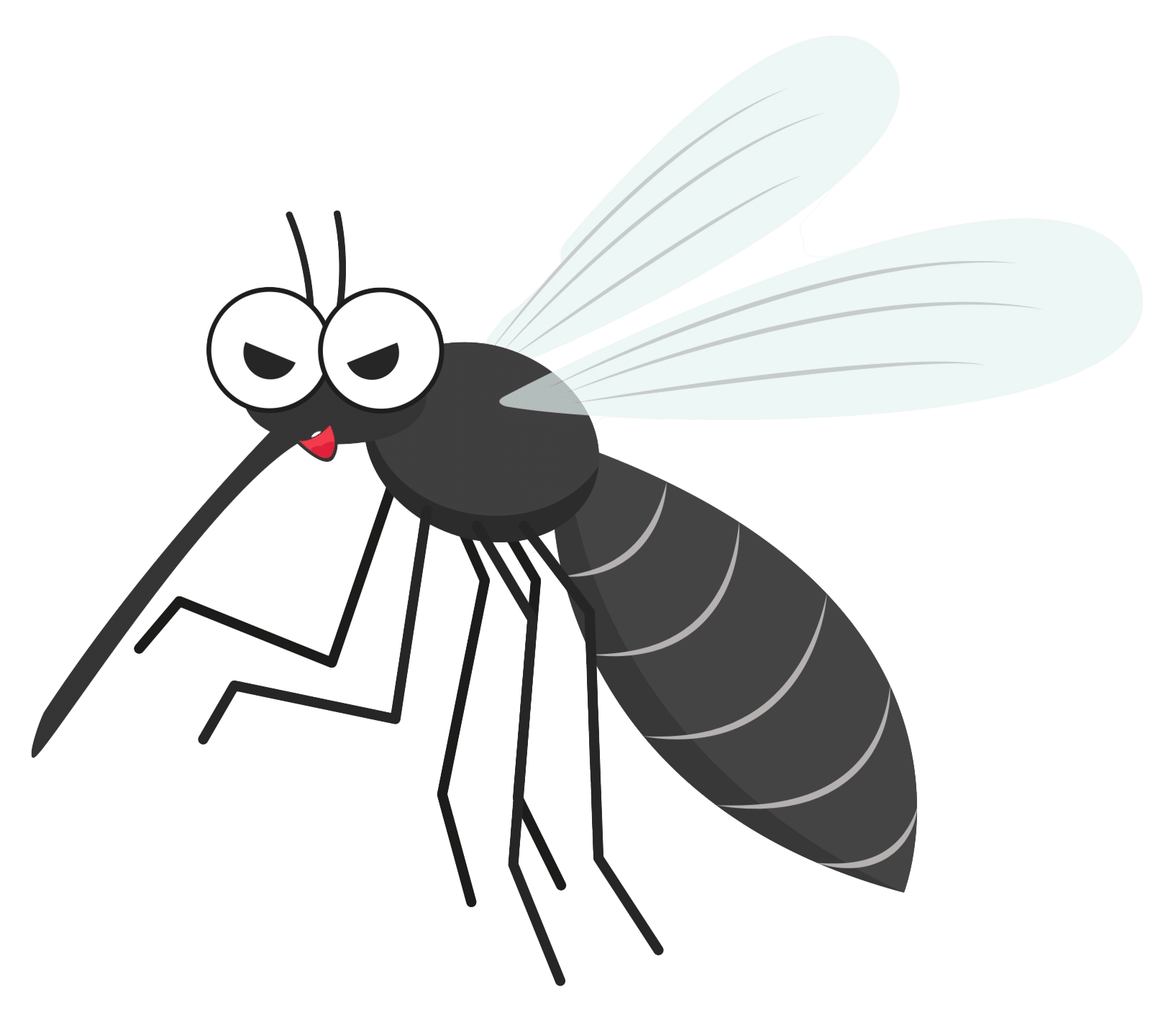 Mosquito