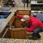 Emtec Pest Control Termite Inspection