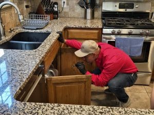 Emtec Pest Control Termite Inspection