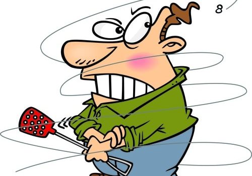 Cartoon Swatting Fly