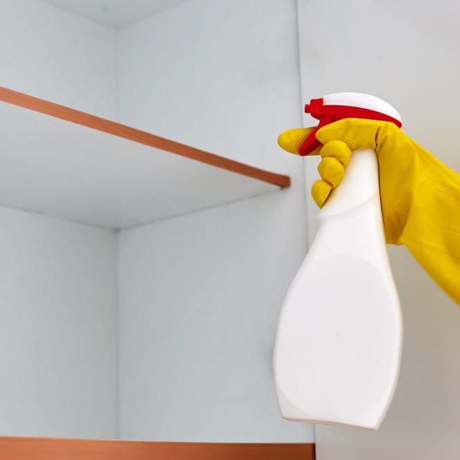 Pest Control Worker Spraying Pesticide inside the house