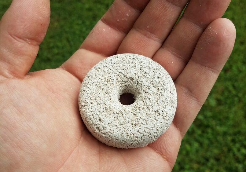 hand holding circular white mosquito tablet insecticide