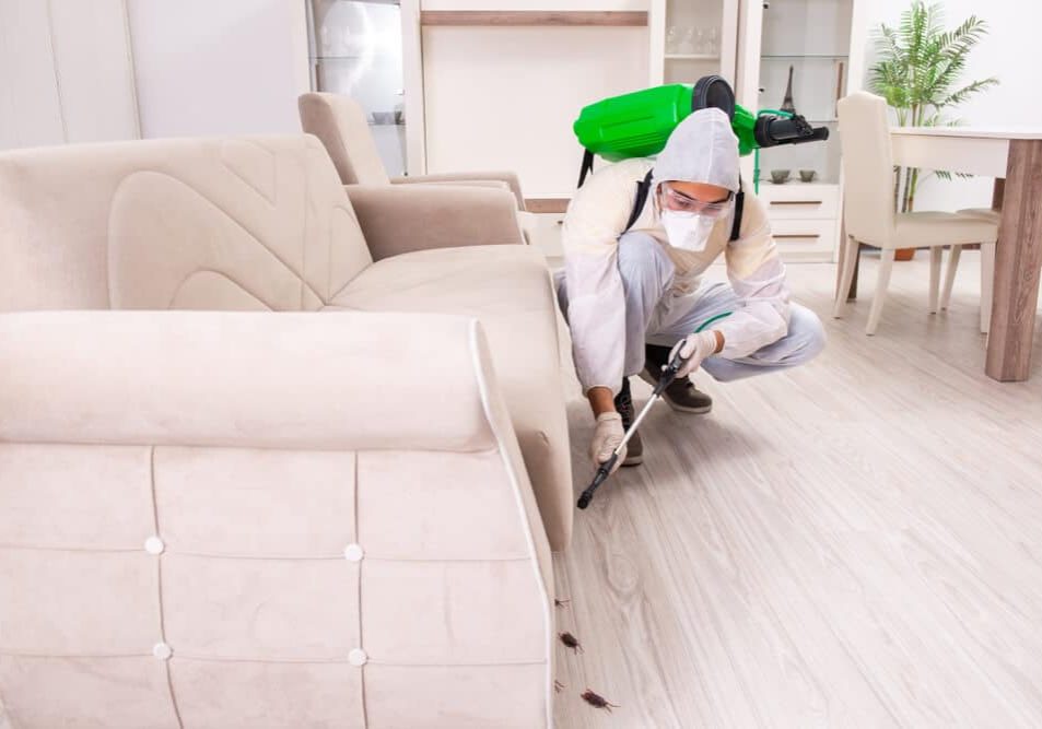 Pest control contractor working