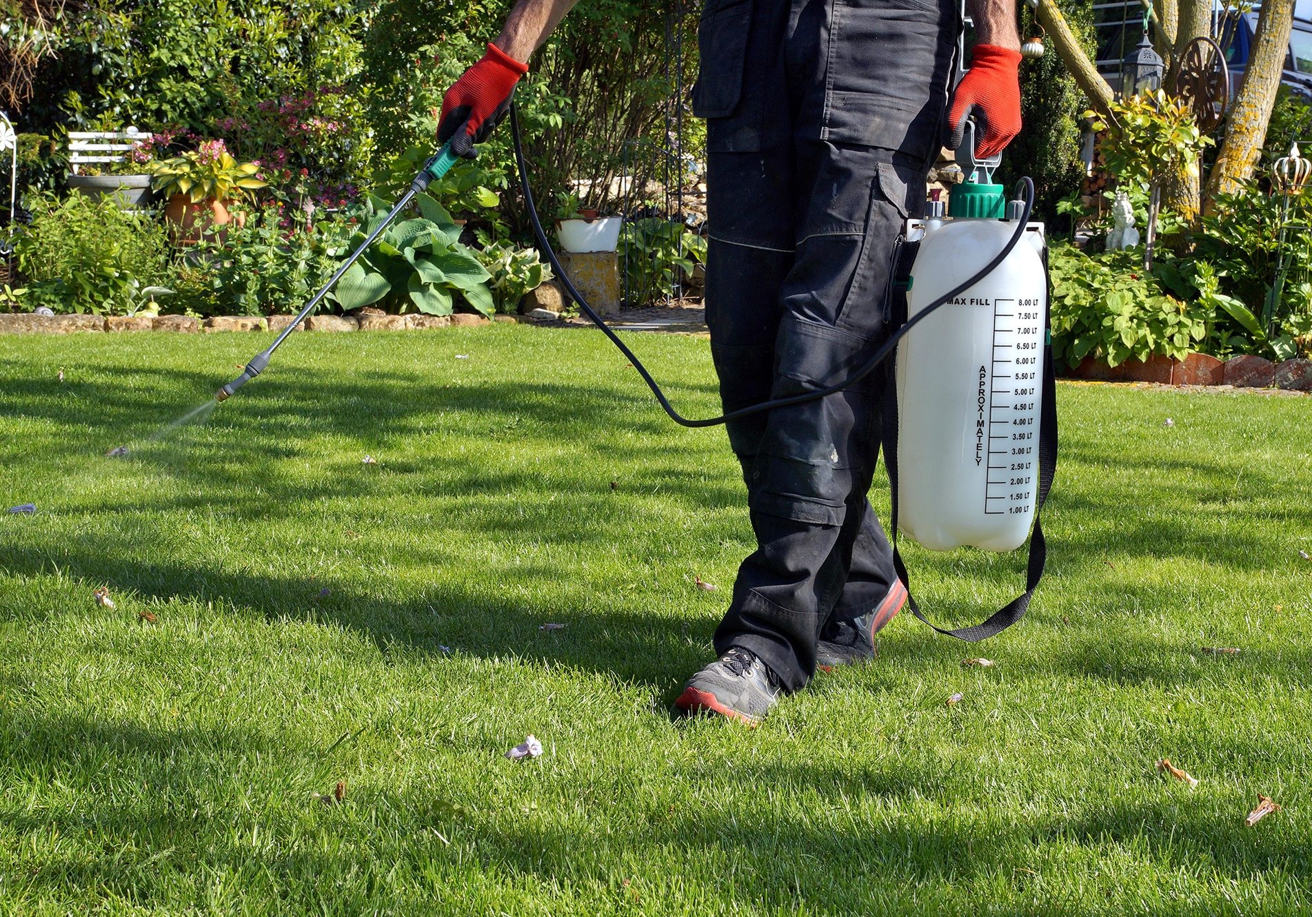 spraying pesticide with portable sprayer