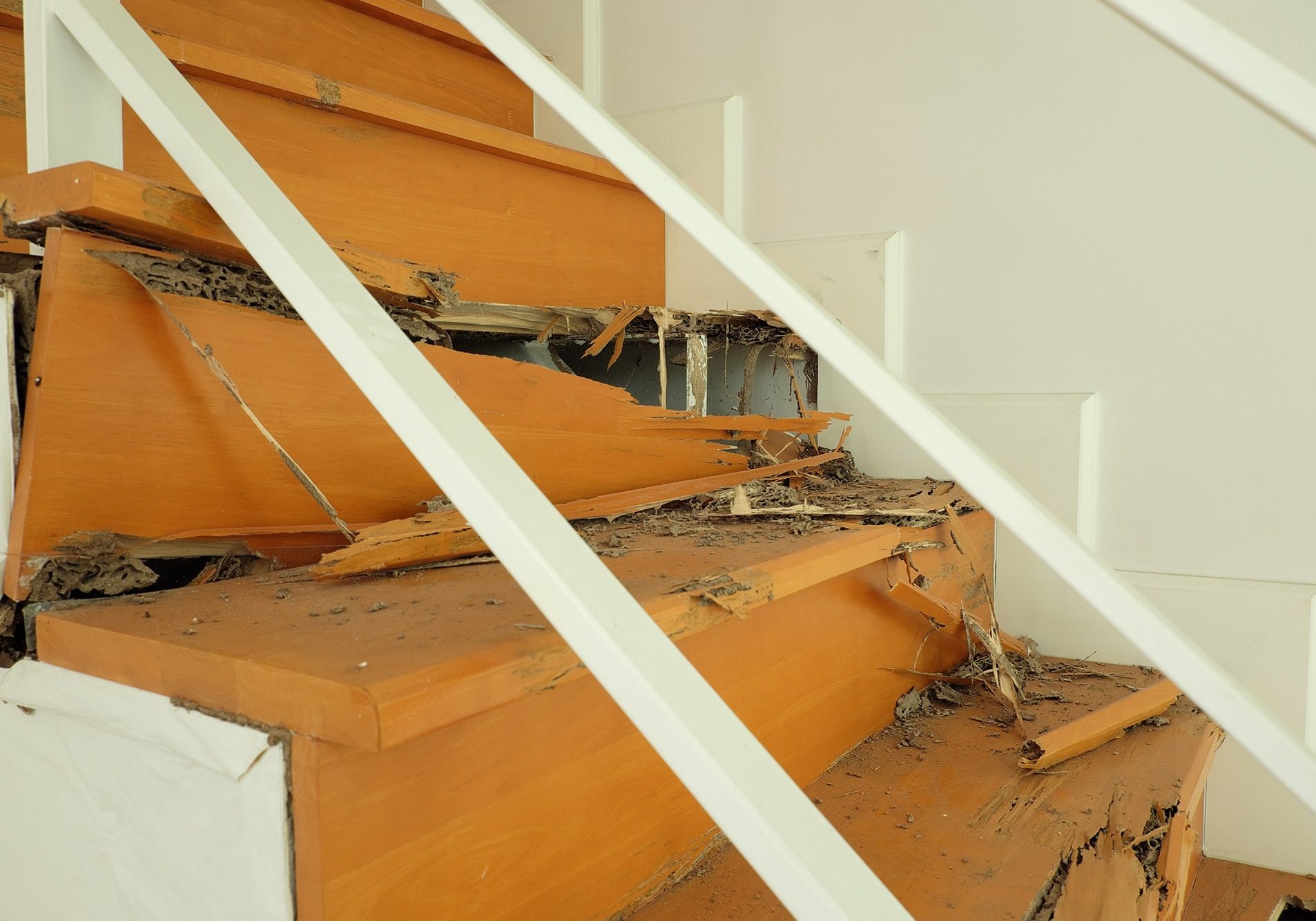 Wooden stairs destroyed by termite
