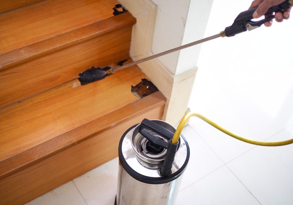 Pest,Control,Technician,Using,Equipment,And,Liquid,To,Dispose,Termite Pest control technician using equipment and liquid to dispose Termite infested wood inside house.