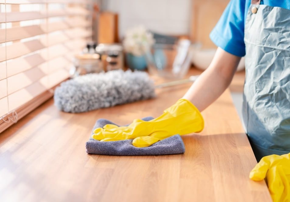 Housework,Or,House,Keeping,Service,Female,Cleaning,Dust,In,House, house keeping service female cleaning dust in house