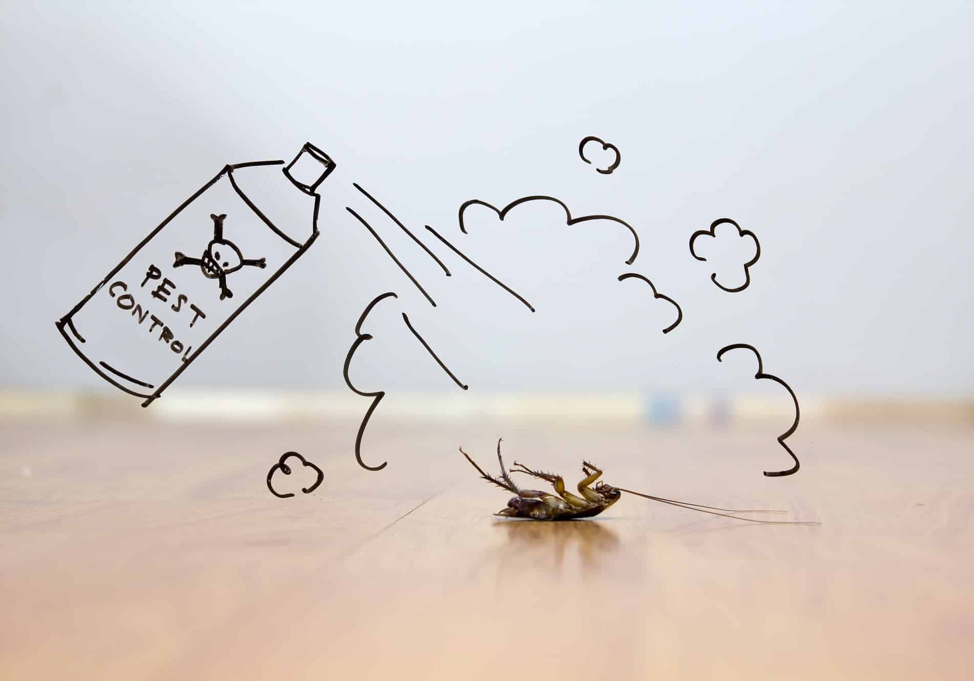 Past control concept and a dead cockroach on floor Past control concept and a dead cockroach on floor