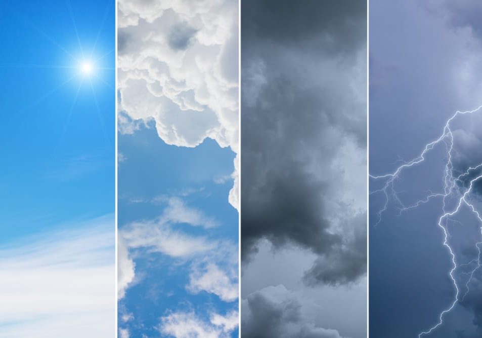 Climate Factors Affecting Pest Activity in February