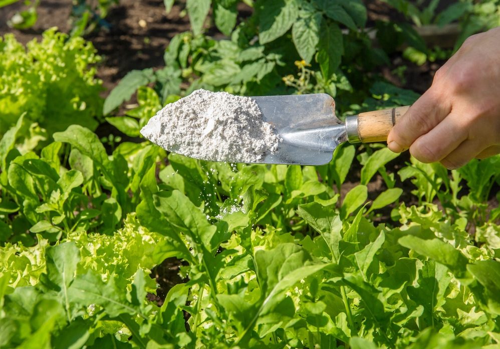 Gardener white sprinkle Diatomaceous earth Gardener white sprinkle Diatomaceous earth