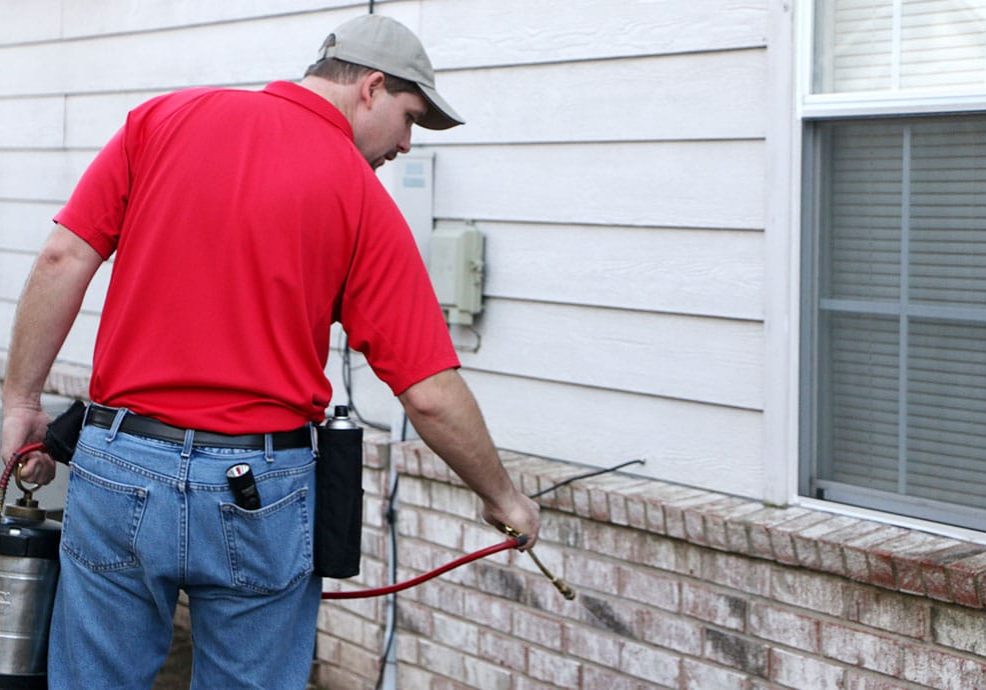 Eco-friendly pest control