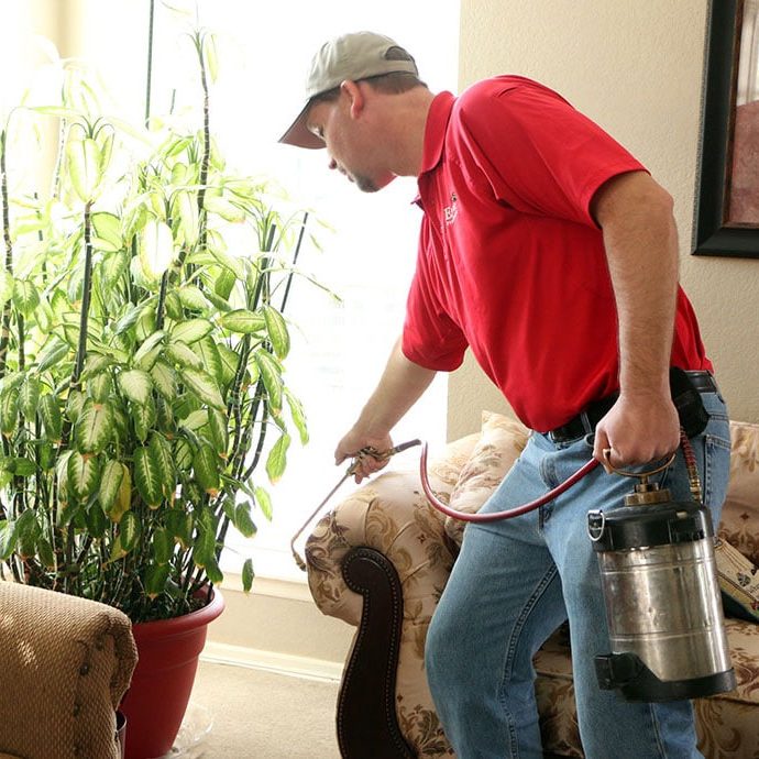epc-img10a Living Room Pest Control