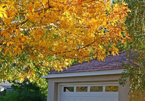 Typical tract house garage with colorful turning leaves in fall