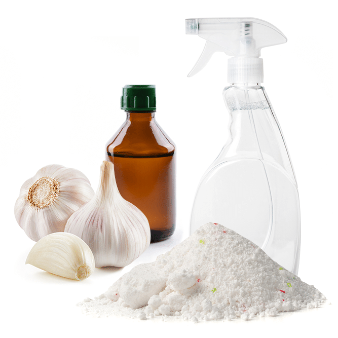 DIY Eco-Friendly Pest Control Recipes