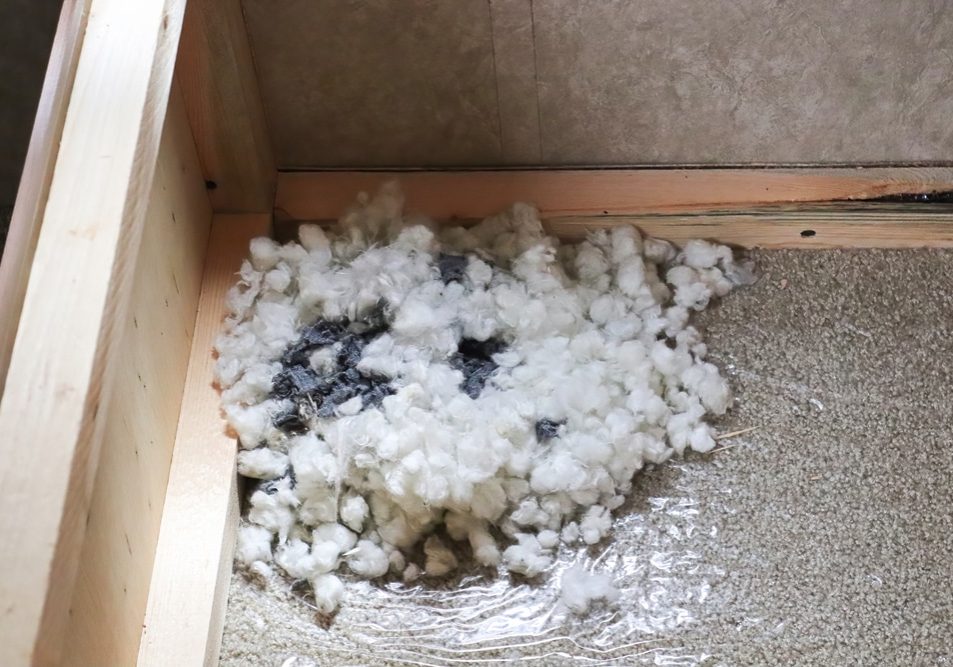 A mouse nest built in the corner of a box A mouse nest built in the corner of a box