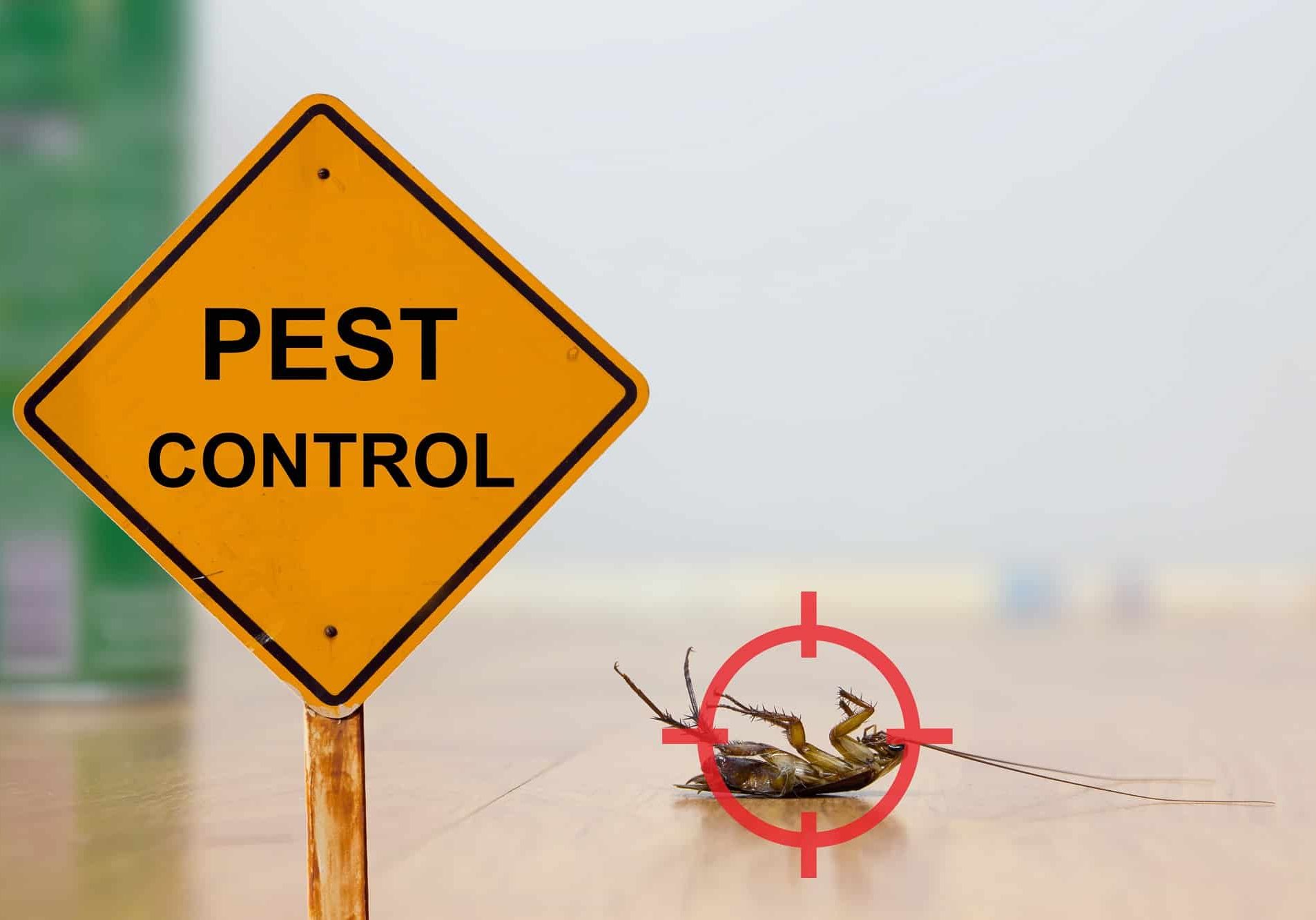 Dead cockroach on floor with caution sign pest control