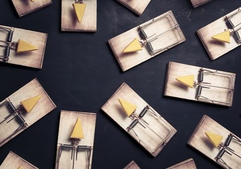 mouse traps with cheese pointing towards an empty space