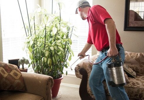 professional-pest-control(1) Service technician spraying inside house