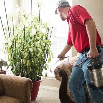 Service technician spraying inside house