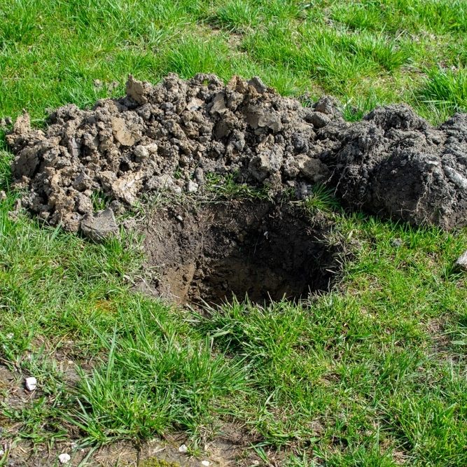A hole dug for planting trees or plants on the lawn