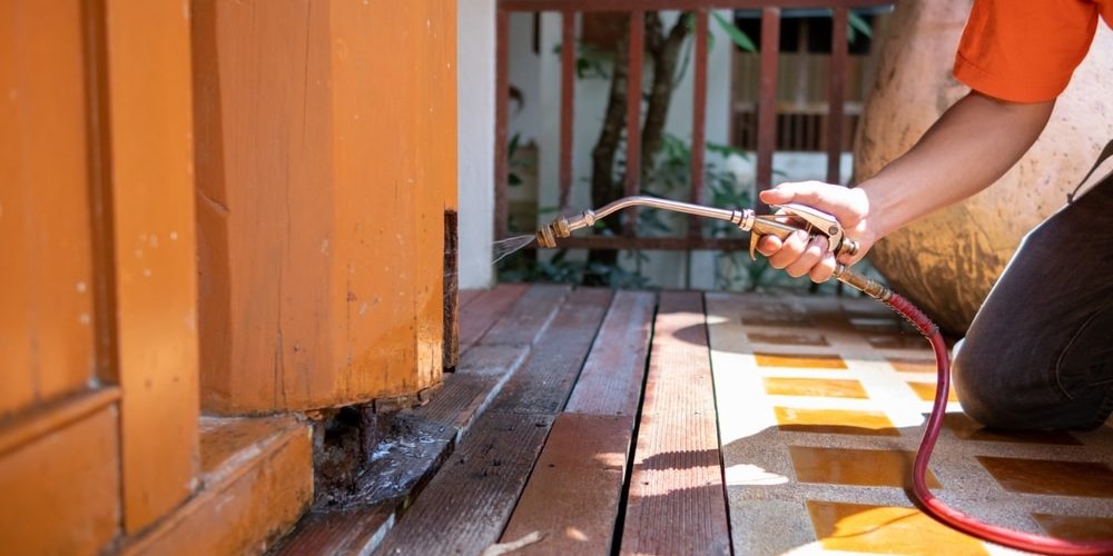 Termite Pest Control