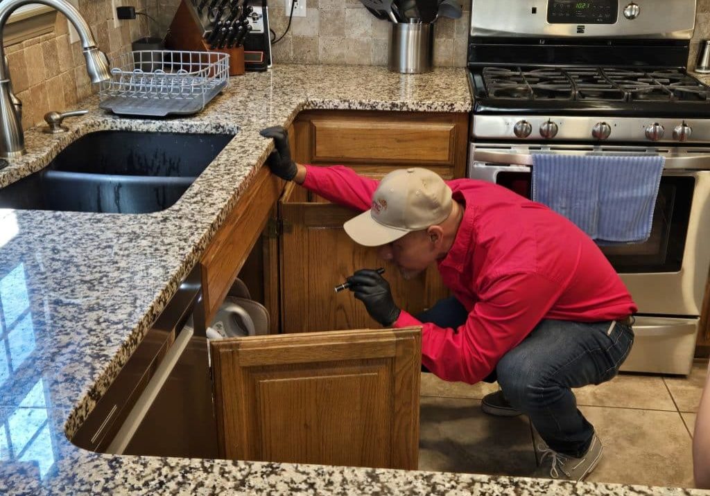 Emtec Pest Control Termite Inspection