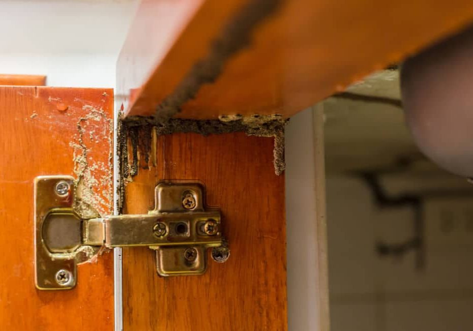 Timber beam of door damaged by termite
