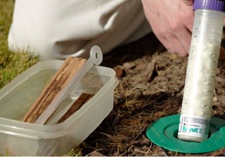 Technician checking Sentricon termite baiting system