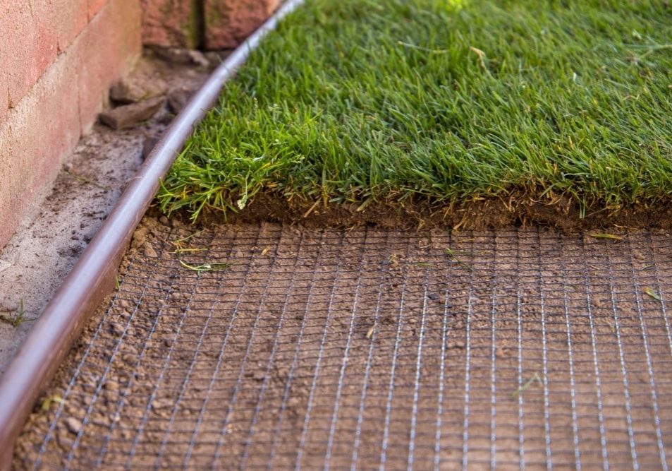Laying lawn an anti-mole netting Laying lawn an anti-mole netting