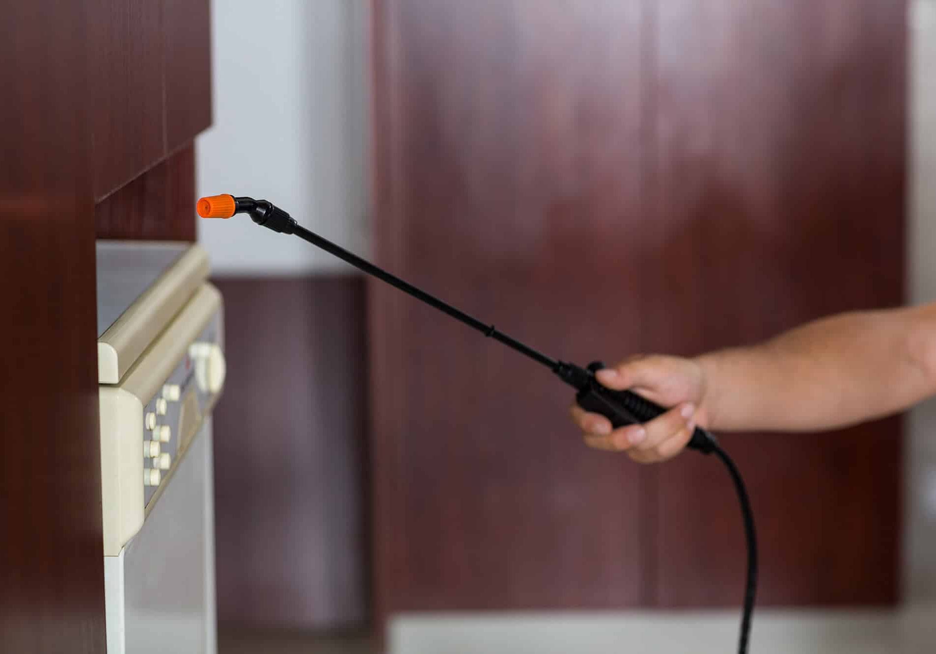 worker holding sprayer in kitchen at home